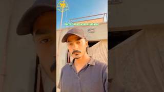 Cattle Farm Construction Updates | Soori Cattle Farm 🔥 #shortsfeed #cow #ytshorts