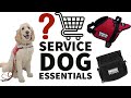 Service Dog Essentials