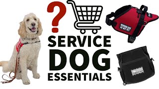 Service Dog Essentials