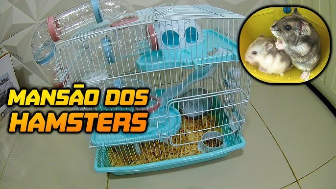 Brinquedo Jel Plast Pet Roe Roda Plástica Amarela para Hamst