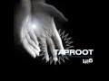 Taproot - Mentobe