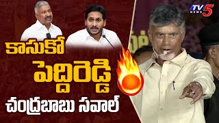 Chandrababu Challenge to Peddireddy Ramachandra Reddy | Puthalapattu TDP Meeting | TV5 News