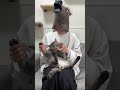 マッシュルダンス 踊ってみた Bling-Bang-Bang-Born #shorts #cat #猫 #mashle #creepynuts #BBBBダンス