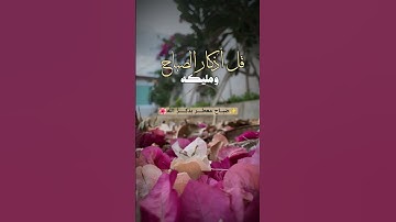 اذكار الصباح✨🌼💚 #tiktok #اكسبلور #دويتو #قرآن #قران_كريم #duet #تيك_توك #حالات_واتس #يارب #لايك
