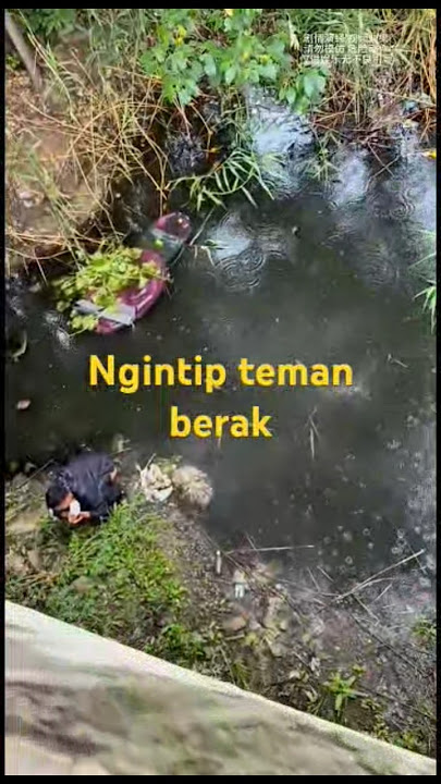ngintip temen berak.