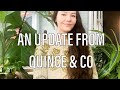 An Update from Quince & co