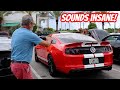 El Choppo 1300WHP GT500 Terrorizes the Streets and Steals the Show