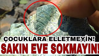 Sakın Eve Sokmayın, Çocuklardan Uzak Tutun! #Eniyi #Trendler