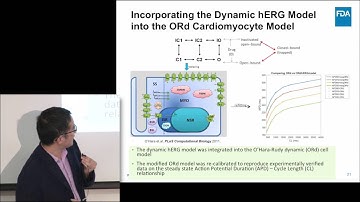 In Silico Modeling for the New CiPA Paradigm