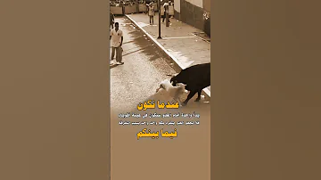 عندما نقف يدا واحدة أمام العدو عبارات حالات حالات واتس Foryou Fyp Shorts 