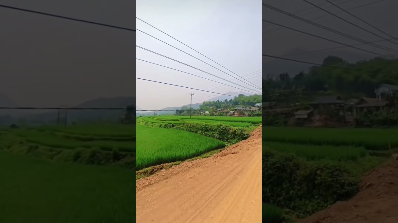 The Hidden Beauty of Pù Luông #vietnamroadtrip #phuotxuyenviet #ridevietnam