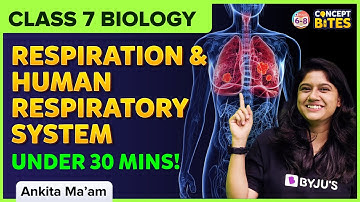Respiration in Organisms | Respiration and Human Respiratory System | Class 7 | Science | BYJU