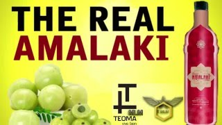 THE REAL AMALAKI  [TEOMA]-[TEOMA MLM]