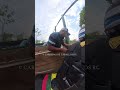 CIERRE INESPERADO DE LA SOÑADORA #caballos #carrerasdecaballos #fyp #viral #viralshorts