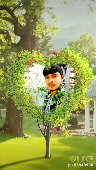 Anwarala(5)