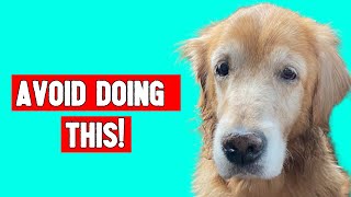 5 Things Dogs Hate That Humans Do