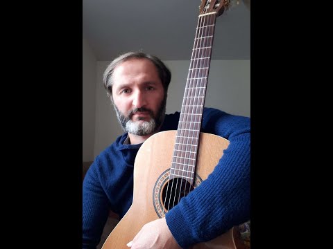 მზიანი ტყე -солнечный лес-Sunny Forest