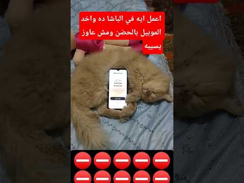 اعمل ايه في الباشا ده   