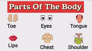 Parts of the body in english |Daily use english sentences | English Comrade