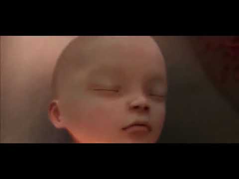 اجمل مقطع رحمن يا رحمن