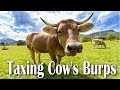 Taxing Cow&#39;s Burps to reduce Climate Change