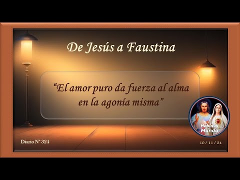 De Jesús a Faustina - Diario N° 324