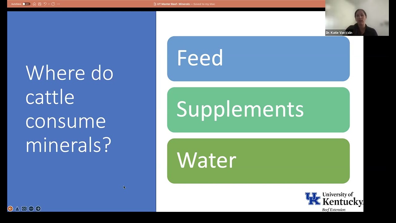 25 - Mineral Nutrition for Beef Cattle