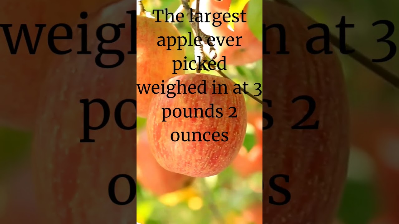 Fun Facts About Apples