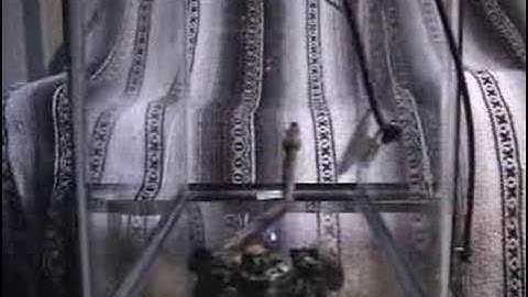 Snake Eats Rat Feeding Time Behind The Scenes part 2