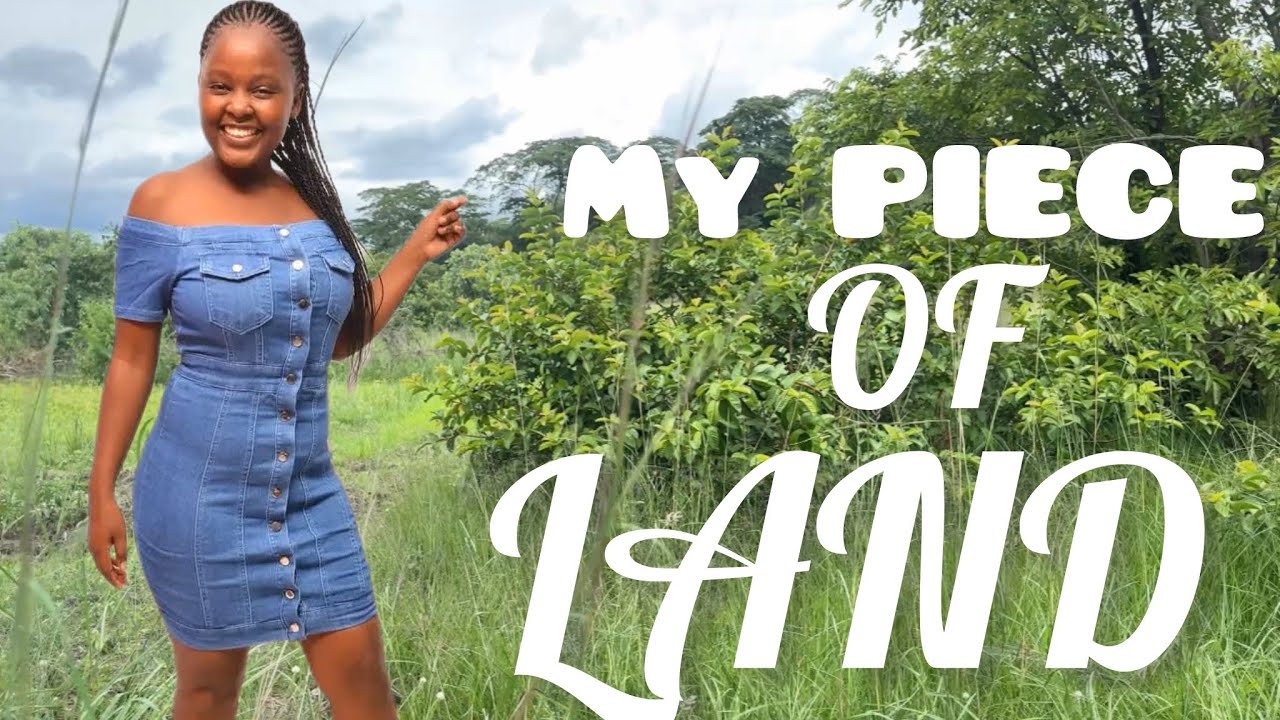 Посмотрите на мой прекрасный участок земли! Недвижимость моей мечты в Зимбабве.