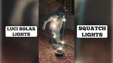 🌟 Experience the Magic of LUCI Solar String Lights at Night! 🌙✨