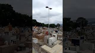 Visit Cemetery In So Paulo