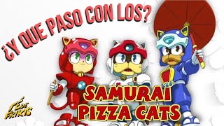 ¿Qué pasó con Los Gatos Samurai?