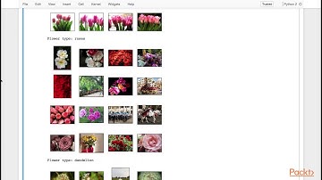 Advanced Computer Vision with TensorFlow : Loading and Exploring Flower Dataset | packtpub.com