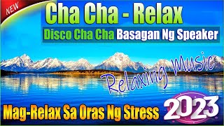 ? NONSTOP CHA CHA TAGALOG DISCO REMIX 2022 | RELAXING DISCO CHA CHA VIBES 2022 COMPILATION ?