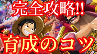 初心者必見‼育成のコツ完全攻略‼やってはいけない事・早技・コツ‼【バウンティラッシュ】