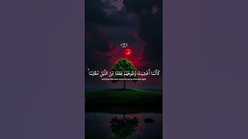 سورة الرحمن كاملة بصوت مؤثر يأسر القلوب | تلاوة هادئة للراحة النفسية