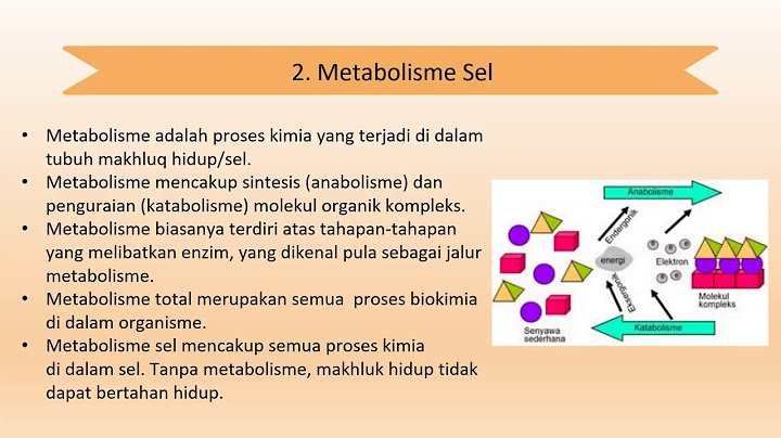 Proses kimia yang terjadi pada tubuh makhluk hidup yang melibatkan transformasi energi disebut