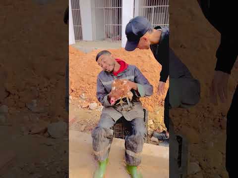 باىع الدجاج لايعرف المستحيل دجاج تولد في نهار سبحان الله تيك توك اكسبلور ضحك