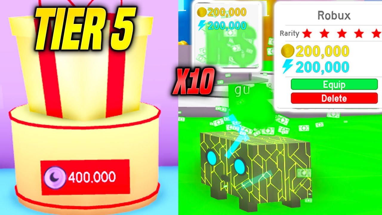 New I Got 10 Of The Rarest Robux Hats In Pet Simulator Update Insane Roblox Youtube - roblox pet simulator hats