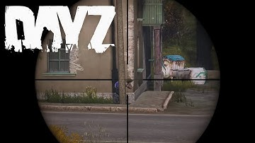 The Partial Wipe Changed EVERYTHING | DayZ Official Console PS5