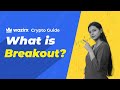 What is breakout  wazirx crypto guide 