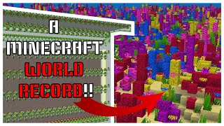 Minecraft's First EVER Coral Quarry!!!