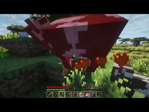 tentativa a -16- a de hardcore