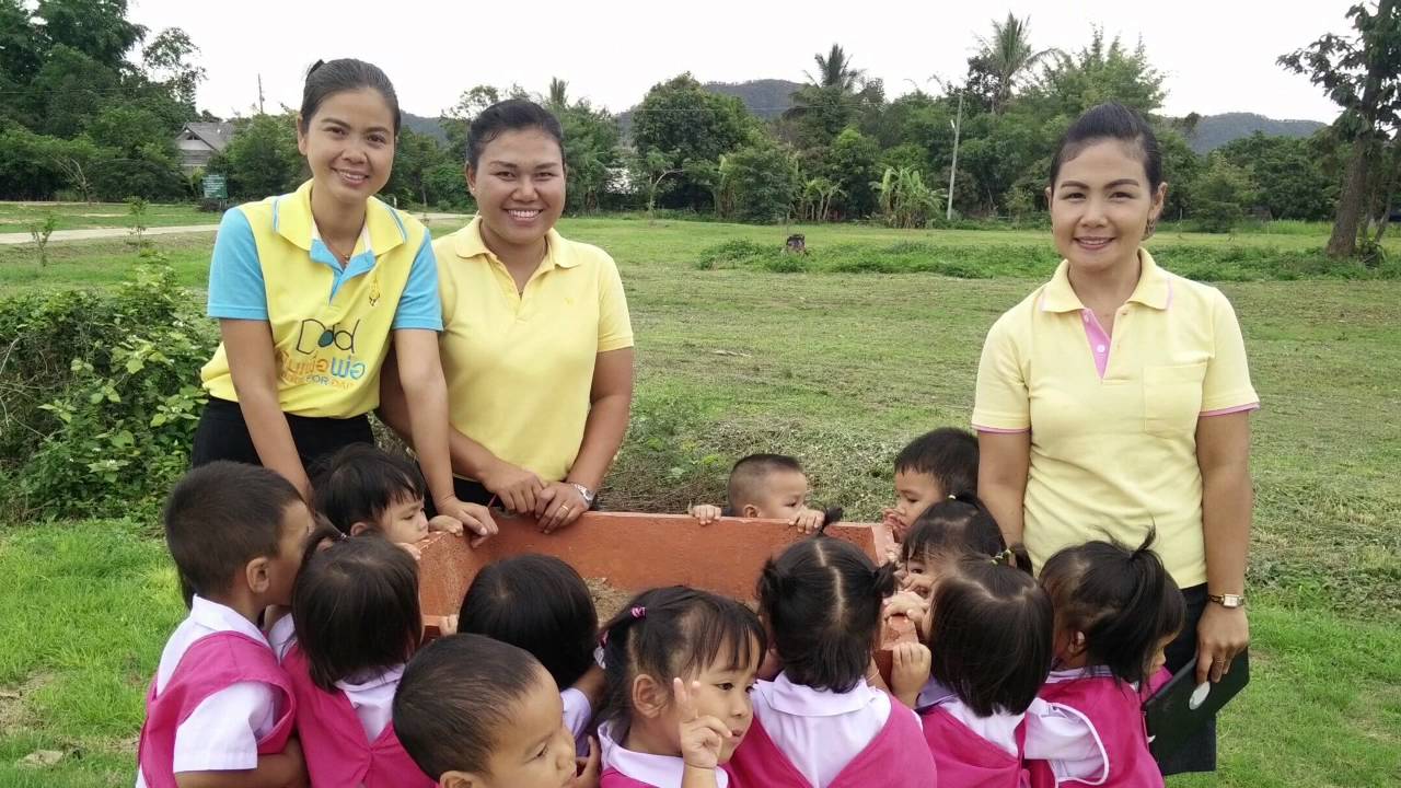 โครงงาน ปลูกต้นไม้ ปลูกผักเพราะรักพ่อ