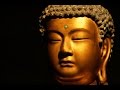 Existentialism and Buddhism -- Points of Linkage