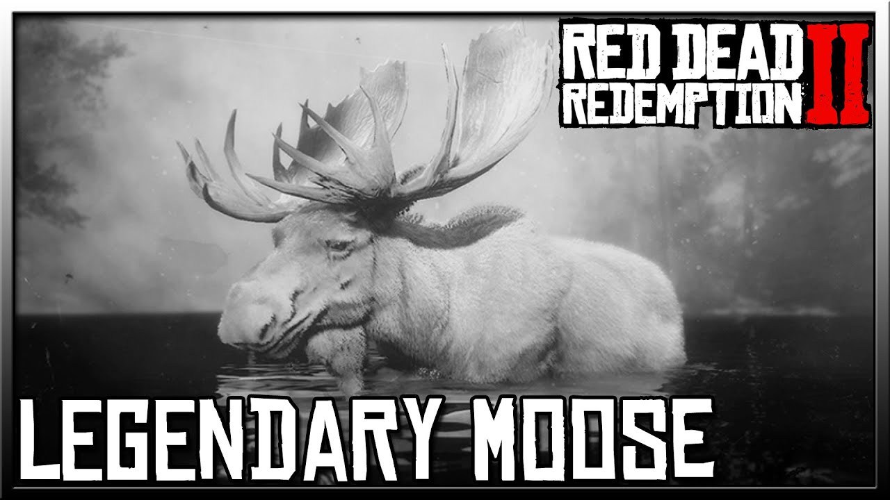 How to kill legendary moose rdr2