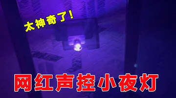 网购买的语音小夜灯真的好用吗？【开箱组长】
