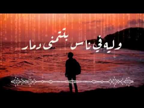 فضل شاكر وشبعنا من التمثيل