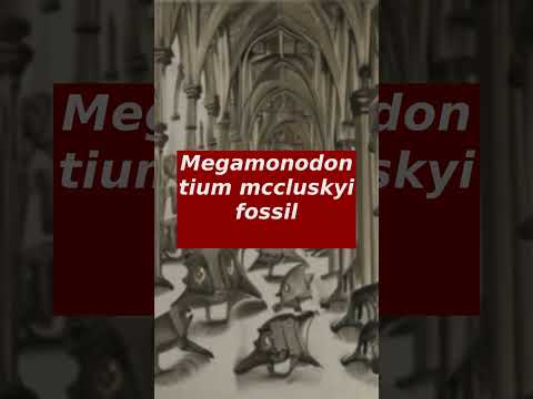 Megamonodontium Mccluskyi Fossil